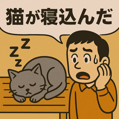 猫が寝込んだ